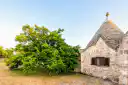 Amelia - Cozy Apulian Trullo — Fotos 41/41